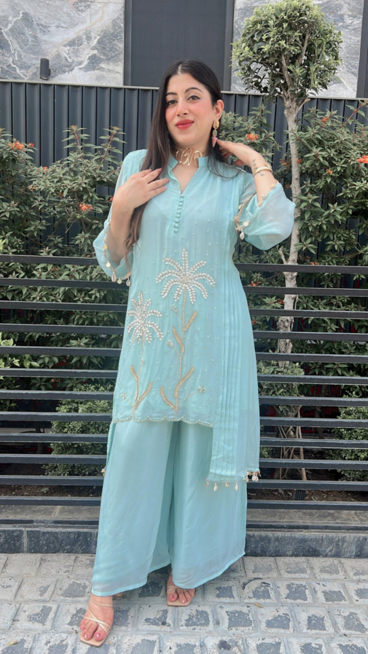 Blue ORGANZA SILK HANDWORK CO-ORD