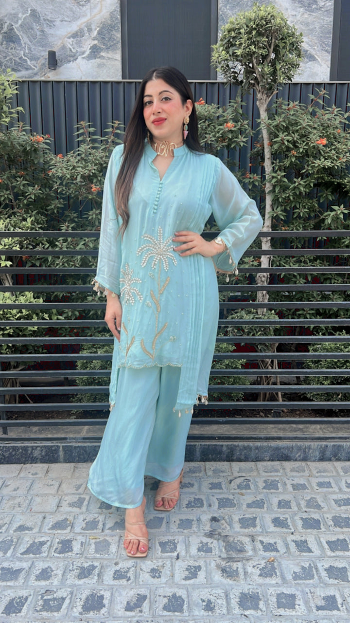Blue ORGANZA SILK HANDWORK CO-ORD